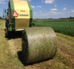Bale Netting