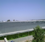 Shading Net